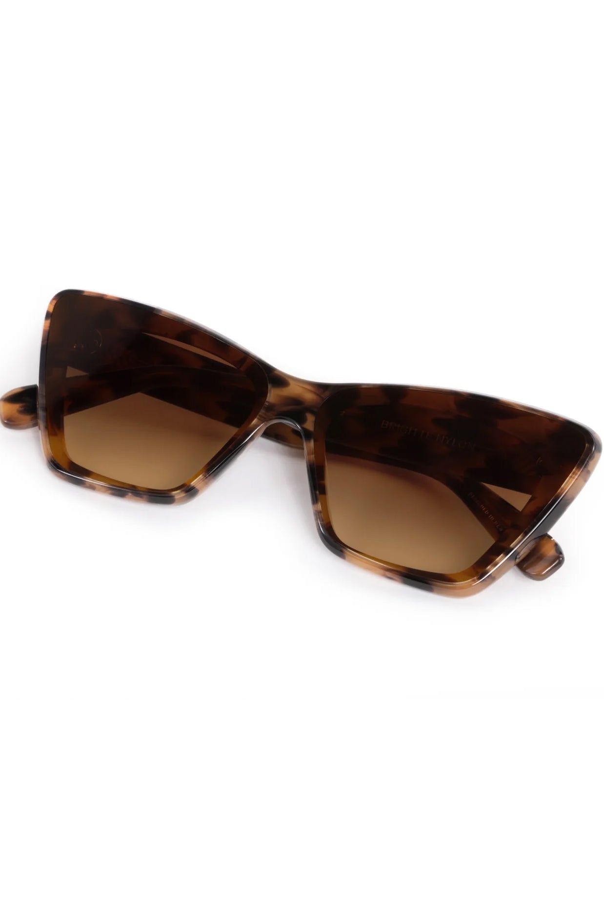 Brigitte Nylon, Venezia