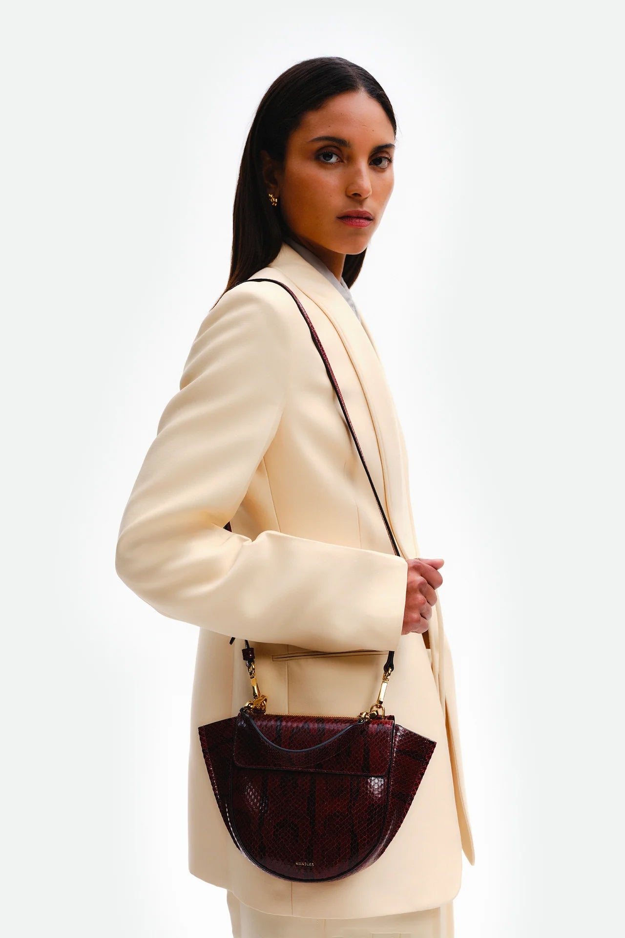 Hortensia Mini Bag, Bordeaux Python