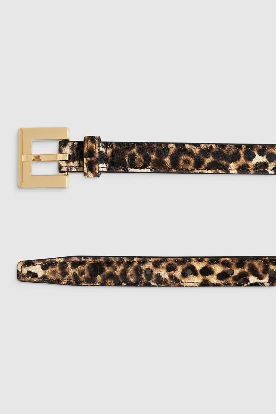 Nicola Belt, Leopard