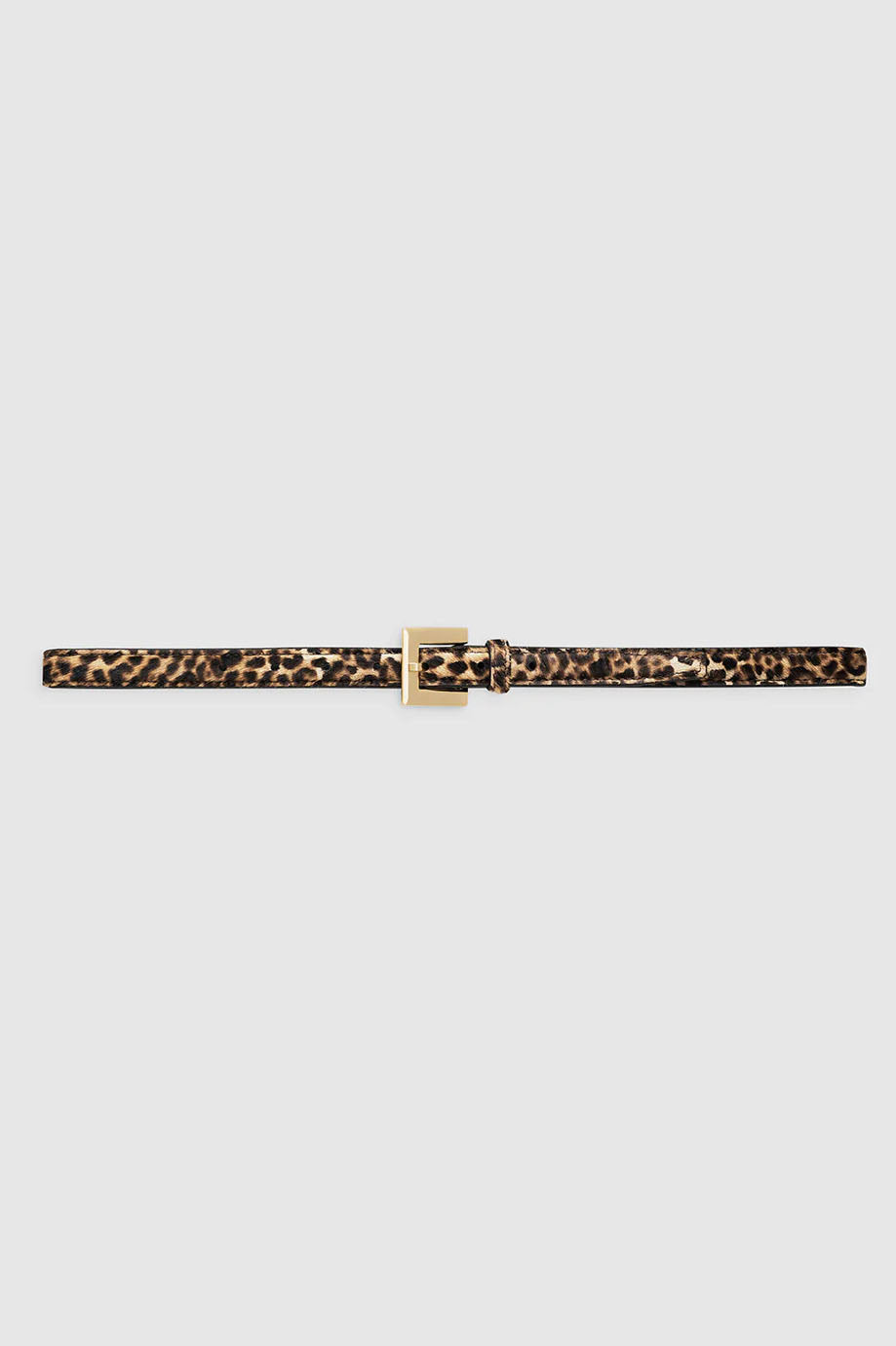 Nicola Belt, Leopard