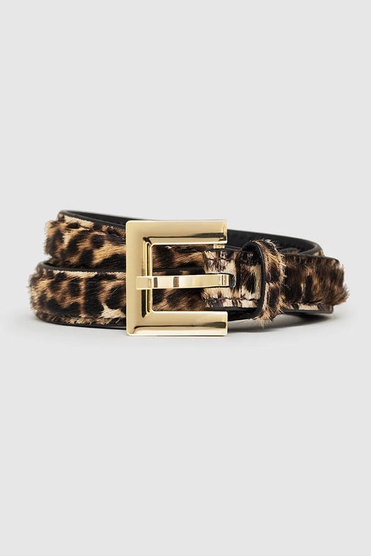 Nicola Belt, Leopard