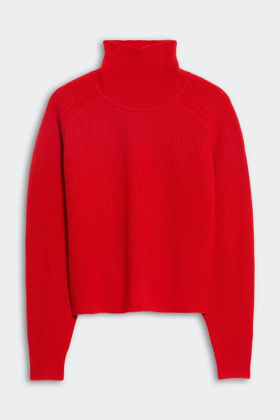Cropped Ribbed Turtleneck, Chili