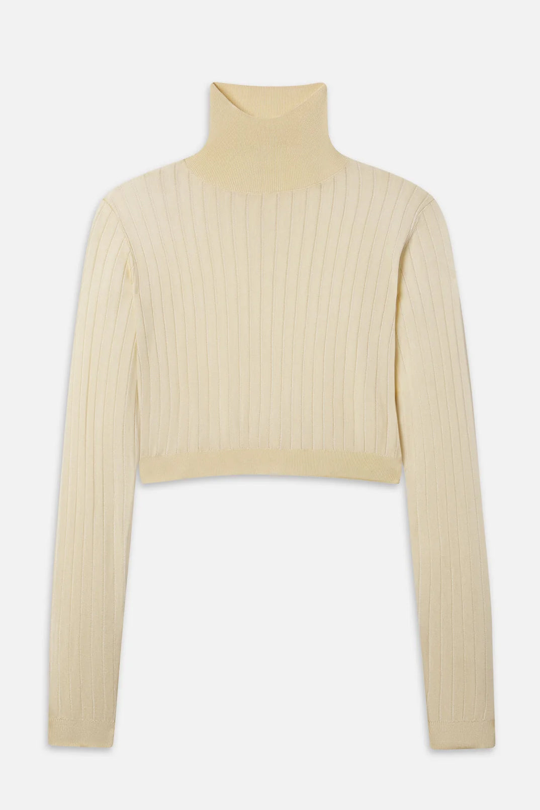 The Crop Fitted Turtleneck