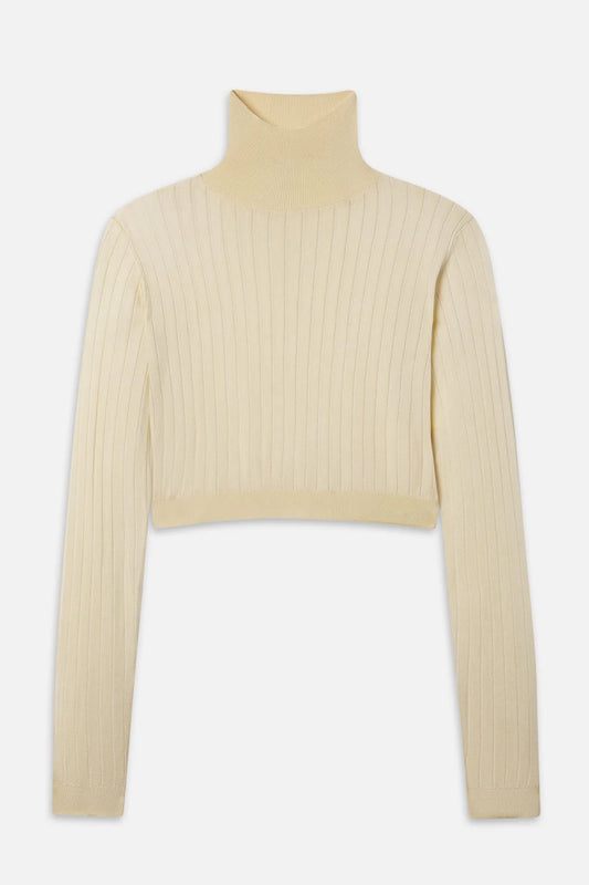 The Crop Fitted Turtleneck