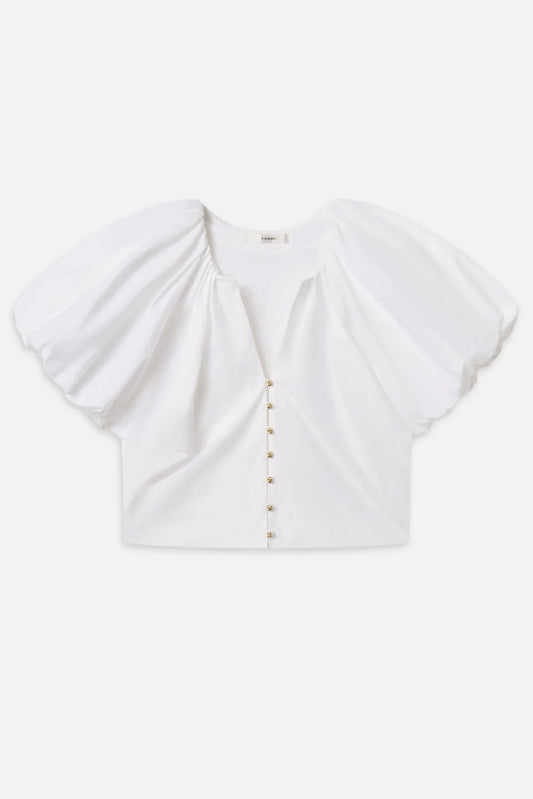 The Dramatic Sleeve Blouse