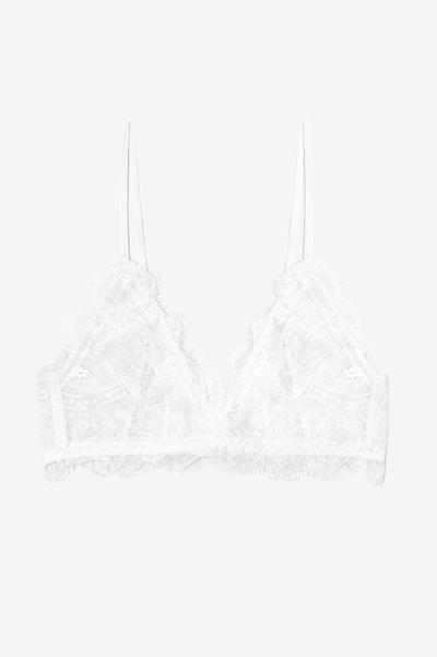 Lace Bra w. Trim